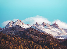 星空体育中国-莫泰周琦先后建功助球队逆转 新疆双塔实在太无解